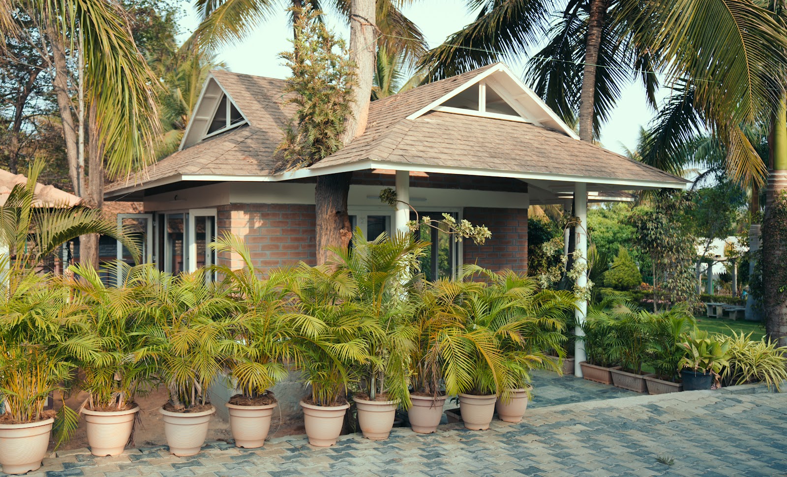 Cottage Room – Garden View
